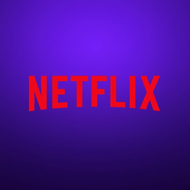 NETFLIX SUBSCRIPTION